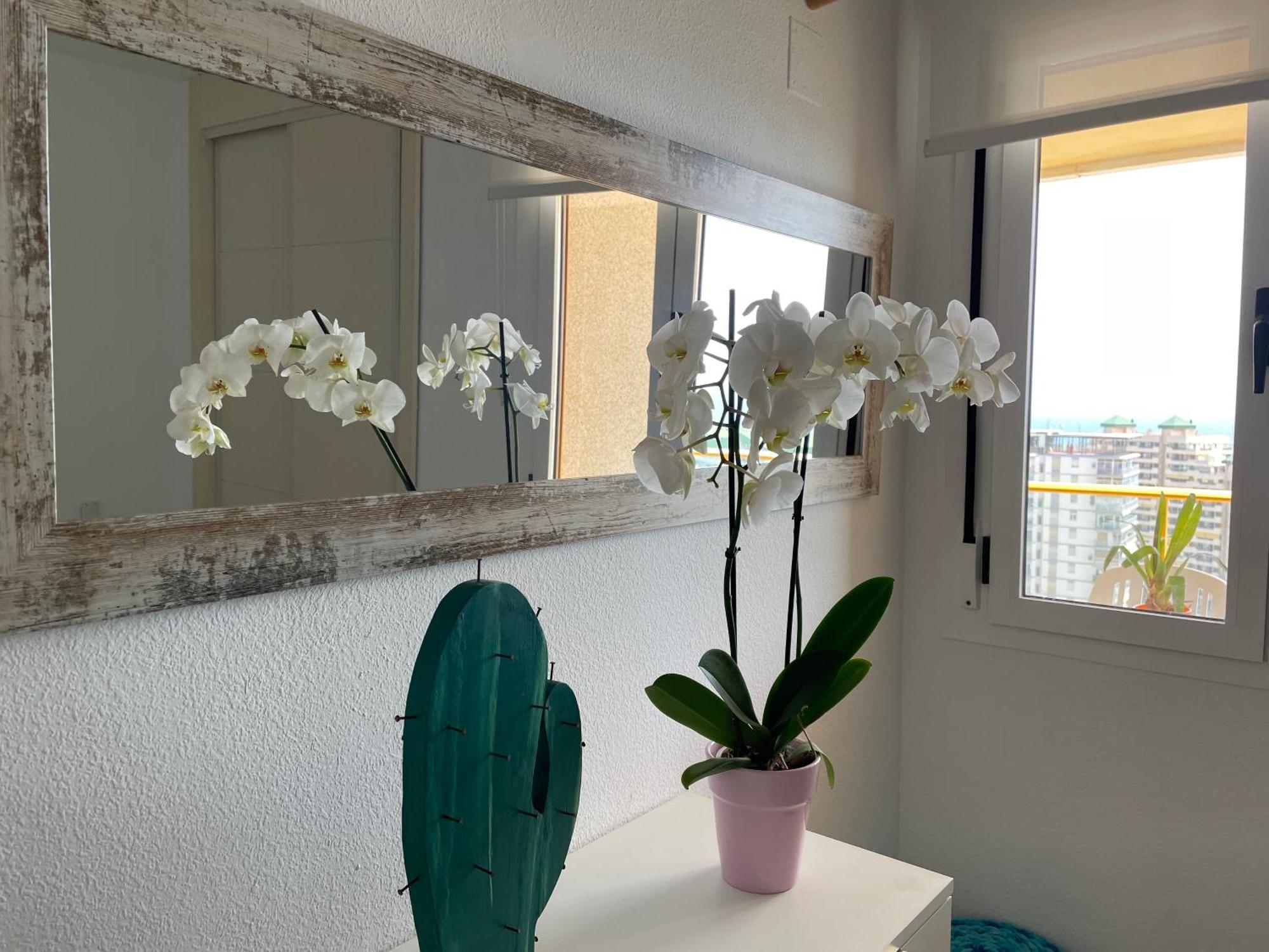 Apto One More Day In Ambar Calpe Esterno foto